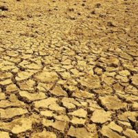 Die Dürre bleibt während des Beginns der Regenzeit weiter bestehen