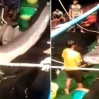 Thailändische Fischer töten 30 Delfine, um „Dolphin Jerky“ herzustellen.
