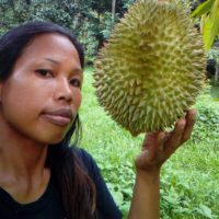 Handelsbüro warnt vor künftiger Durian Konkurrenz aus China
