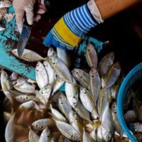 Trump hat den zollfreien Handel für einige thailändische Waren ausgesetzt