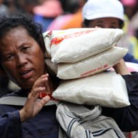 Die thailändischen Reisexporte dürften in diesem Jahr infolge des stärkeren Baht um 35 % zurückgehen