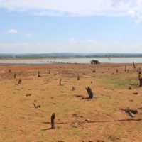 Die Regierung will den von der Dürre heimgesuchten Bauern helfen