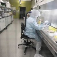 Laut einem Virologen müssen Maßnahmen zur Bekämpfung des Coronavirus ein Jahr lang durchgeführt werden