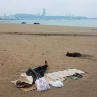 Die thailändische Wirtschaft gerät nach dem schlechtesten Quartal seit acht Jahren in eine Rezession