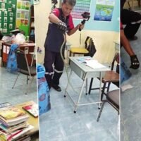 Vier grüne Schlangen verstecken sich in einem Klassenzimmer