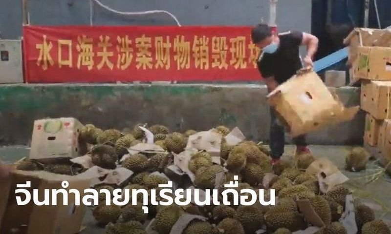 China zerstört 49,58 Tonnen geschmuggelte Durian