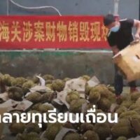 China zerstört 49,58 Tonnen geschmuggelte Durian