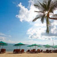 Finanzexperten sagen, dass NUR 8 Millionen ausländische Touristen im nächsten Jahr Thailand besuchen werden