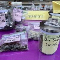 Frau wegen Verkauf von Marihuana Keksen verhaftet