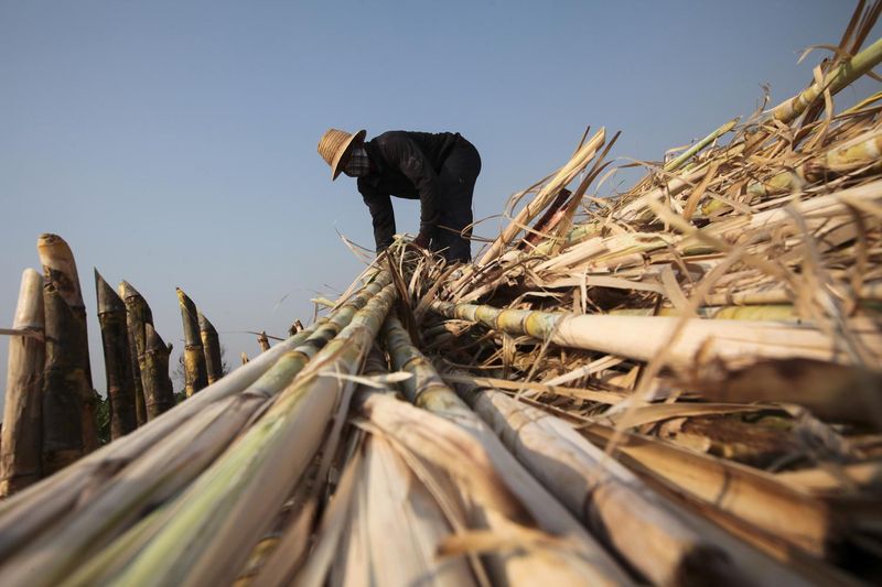 Die thailändischen Behörden bereiten sich darauf vor, Vietnams Plan, eine Antidumpingsteuer auf Zuckerimporte aus Thailand zu erheben, abzulehnen