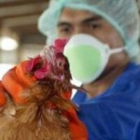 CCSA untersucht den Covid-19 Ausbruch in einigen Hühnerfleischverarbeitungsbetrieben