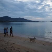 Ko Samui strebt im 1. Monat 2.000 Gäste an