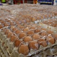 Die Handels-Abteilung warnt Verkäufer, Eier zu unangemessenen Einzelhandelspreisen zu horten und zu verkaufen
