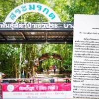 Neue Cluster zwingen Krabi zur Sperrung