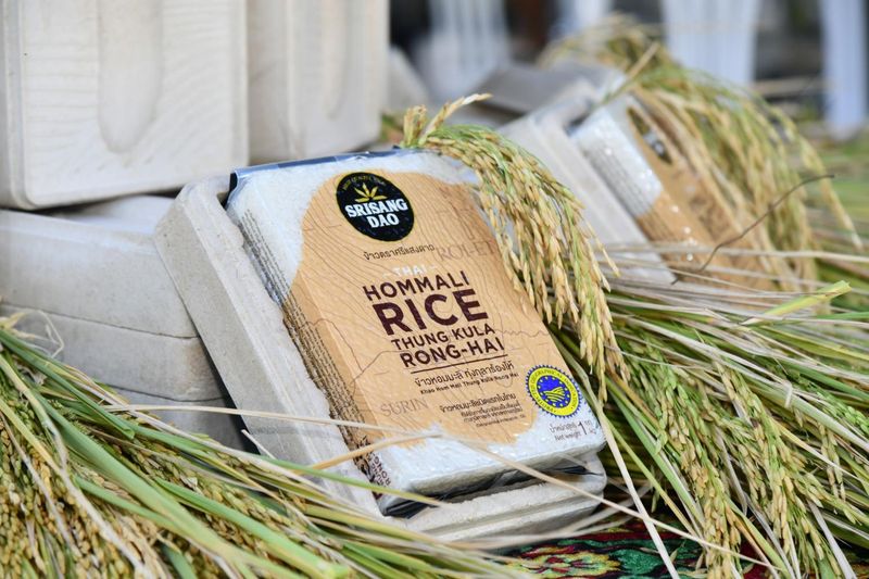 Thung Kula Rong Hai Hom Mali Reis wurde Anfang dieses Jahres in China als Produkt mit geografischer Angabe gelistet.