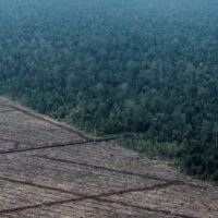 Indonesien signalisiert Kehrtwende beim COP26 Versprechen zur Null Entwaldung