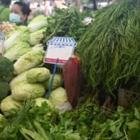 Ministerium verfolgt Gemüse- und Konsumgüterpreise