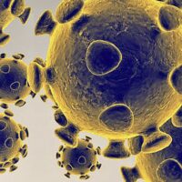 Die stark mutierte Omicron Variante wird in weniger als vier Wochen schnell die dominierende Variante des Coronavirus in Süd Afrika