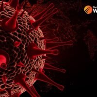 Thailand entdeckt den vierten potenziellen Omicron Fall, die ersten drei wurden bereits bestätigt