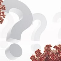 Umgang mit der Omicron Variante löst Unbehagen aus