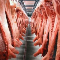 20 Tonnen geschmuggeltes Schweinefleisch aus Laos beschlagnahmt