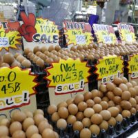 Eier werden am Montag auf dem Simummuang Markt in Pathum Thani ausgestellt. Die Marktverkäufer halten den Preis für Eier auf dem aktuellen Niveau