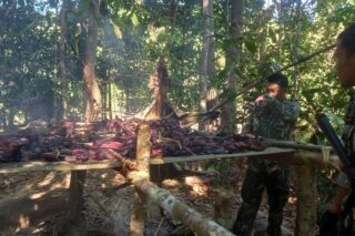 Ranger des Nationalparks inspizieren Tigerfleisch, das am 9. Januar auf dem Campingplatz nahe der Grenze zu Myanmar im Distrikt Thong Pha Phum beim Grillen gefunden wurde