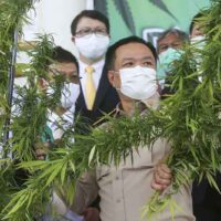 Der Gesundheitsminister Anutin Charnvirakul leitet im Juni letzten Jahres eine Veranstaltung zur Förderung von thailändischem Cannabis im Department of Medical Sciences