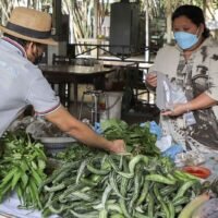 Ein Verkäufer arrangiert haufenweise Gemüse, das letzten Monat im Wat Suan Kaew im Distrikt Bang Yai in Nonthaburi zu ermäßigten Preisen verkauft wird.