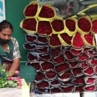 Ein Verkäufer bindet Rosen zu Sträußen, um sie am Sonntag auf einem Markt in Bangkok zum Verkauf am Valentinstag vorzubereiten. Rosensträuße kosten zwischen 150 und 10.000 Baht