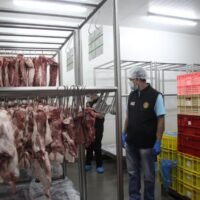Über eine Million Kilogramm Schweinefleisch bei Lagerinspektionen beschlagnahmt
