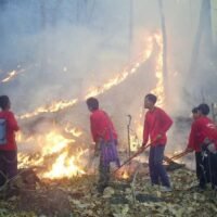 30.000 frühe Hotspots bei steigender Hitze