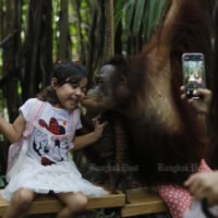 Ein Mädchen lacht, während ein Orang-Utan sie am 17. Oktober 2021 in der Safari World im Bezirk Khlong Sam Wa in Bangkok auf die Wange küsst