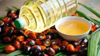 Palmöl wird zum teuersten Pflanzenöl, da der Krieg in der Ukraine die Lieferung von Sonnenöl stoppt