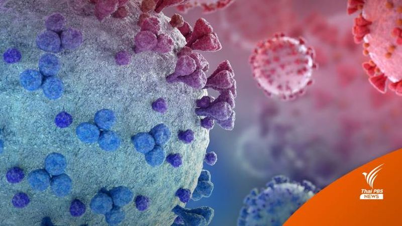 Vier mögliche Fälle der Omicron Subvariante BA.2.2 in Thailand entdeckt – kein Grund zur Beunruhigung