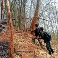 Förster löschen am 28. März 2022 einen Waldbrand auf einem Berg in Chiang Mai.