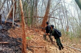 Förster löschen am 28. März 2022 einen Waldbrand auf einem Berg in Chiang Mai.