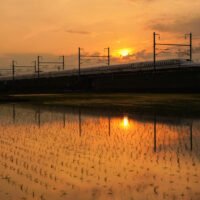Ein Shinkansen Hochgeschwindigkeitszug fährt am 23. Mai 2022 in Fuji, Präfektur Shizuoka, Japan, in der Abenddämmerung an einem Reisfeld vorbei.
