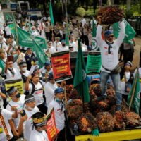 Indonesische Palmölbauern nehmen am Dienstag vor dem Büro des koordinierenden Wirtschaftsministeriums in Jakarta, Indonesien, an einem Protest teil,