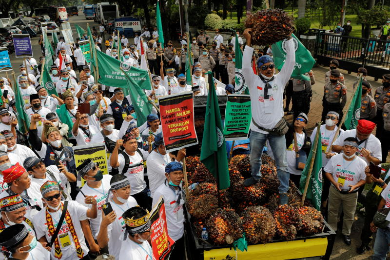 Indonesische Palmölbauern nehmen am Dienstag vor dem Büro des koordinierenden Wirtschaftsministeriums in Jakarta, Indonesien, an einem Protest teil,