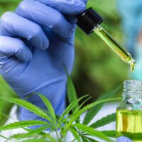 Die Psychiatric Association of Thailand schlägt der Regierung vor, Informationen bereitzustellen und den Zugang zu Cannabisplantagen zu beschränken