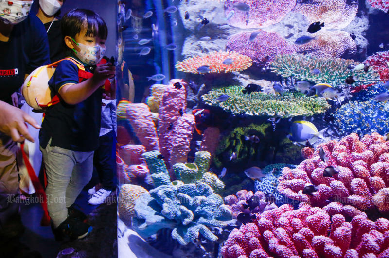 Ein Kind mit Schutzmaske inspiziert ein Aquarium im SEA LIFE Bangkok Ocean World im Einkaufszentrum Siam Paragon,