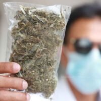 One-Stop Cannabis Wissensshop wird eröffnet