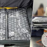 Passagiere mit Kokain im Wert von über 50 Millionen festgenommen