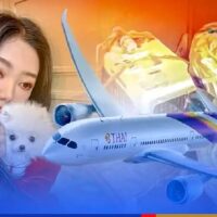 Thailändische Sängerin verlangt von THAI eine Erklärung für den Tod ihres Hundes
