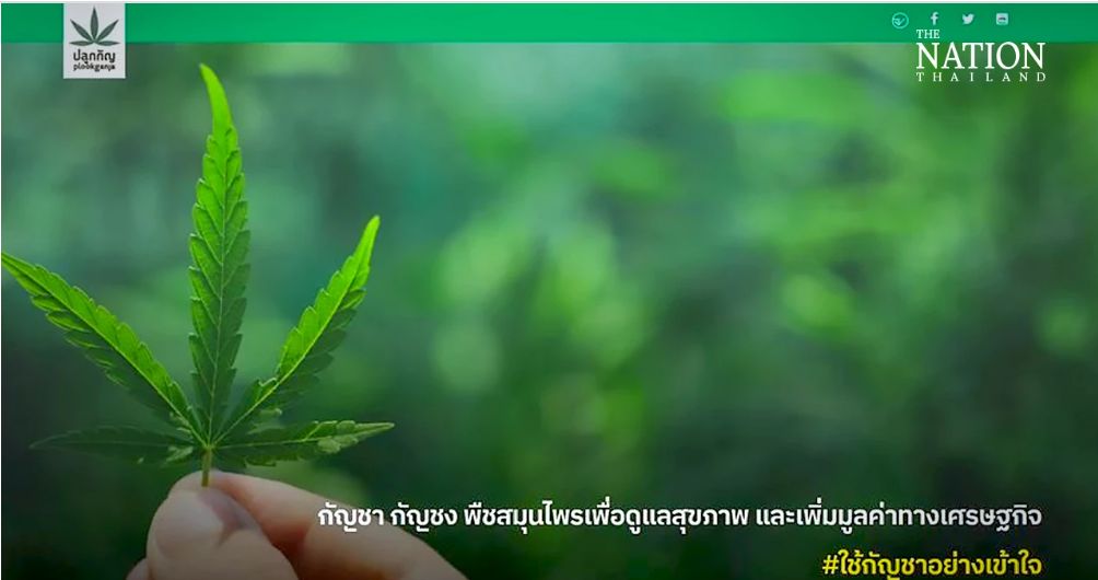 Thailands Cannabisregistrierungskanäle ziehen 32 Millionen Besuche in 2 Tagen an_2