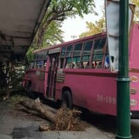 Ein Bus Nr. 8 fährt im Februar 2018 in Bangkok an einen Straßenrand. (Foto: Ruamkatanyu Foundation)