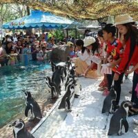 Neuer Zoo in Bangkok erhält Finanzierung in Höhe von 4,3 Mrd. Baht