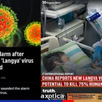 Fakten, die Sie über den in China gefundenen LayV Virus wissen sollten