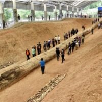 Ein 70 Meter hoher versteinerter Baumstamm in Tak, soll eine geologische Attraktion von Weltklasse werden